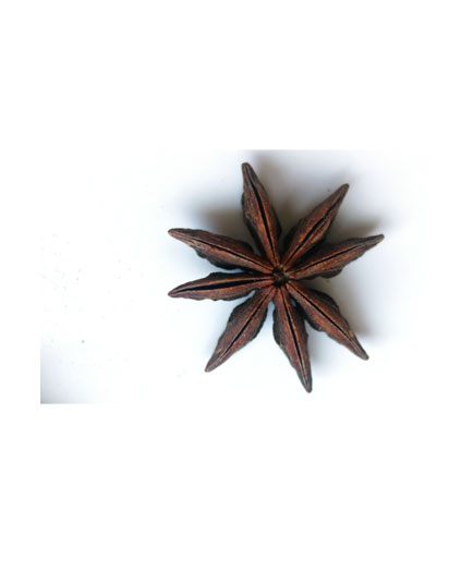 Star Anise | Spices