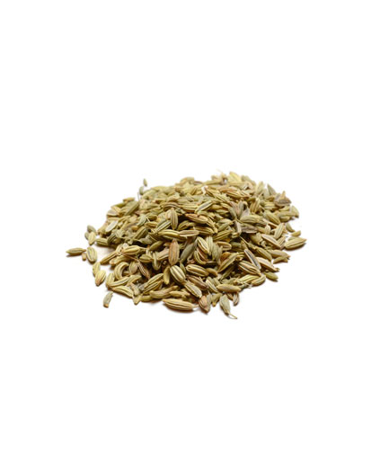 Fennel Seeds | Spices